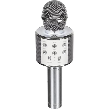 Micro-karaoke luidspreker CMP