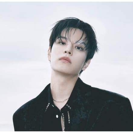 STRAY KIDS - [DO IT] SKZ IT TAPE ACCORDEON Seungmin