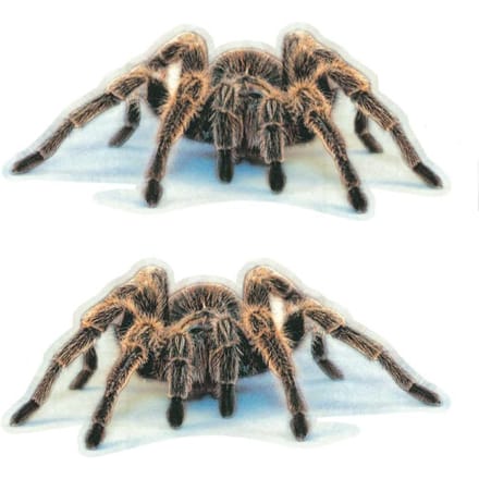 Styling Mooie Cool Spider 3D Autostickers Cartoon Creatieve Persoonlijkheid Decoratie Decals B