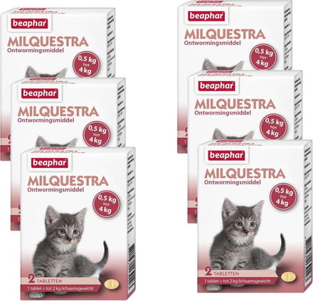 Beaphar Milquestra Kitten - Anti wormenmiddel - 6 x 2 tab 0.5 Tot 4 Kg