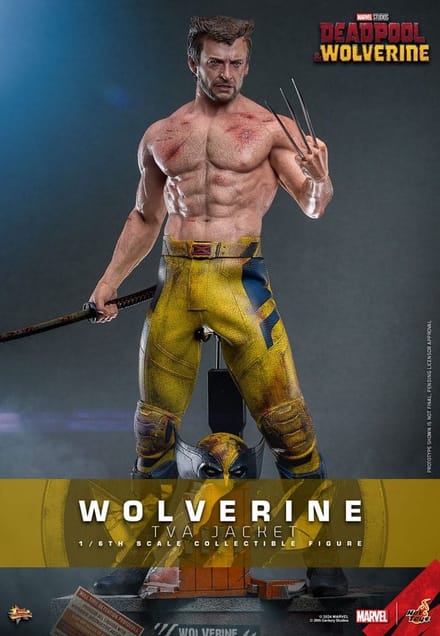 Hot Toys Wolverine (TVA Jacket Version) 1:6 Scale Figure - Hot Toys - Deadpool & Wolverine Figuur