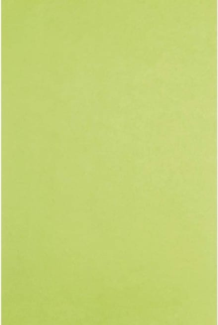 Zijdepapier Wit 480 Vellen Groot Formaat 50x75cm voor Decoratie en Knutselen