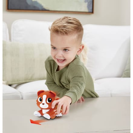 Vtech RDD - Hugo Hond Interactief speelgoed
