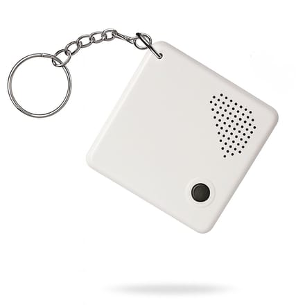 Nederlands sprekende sleutelhanger - tijd - datum -alarm