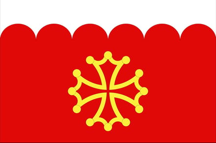 Vlag Gard 150x225cm