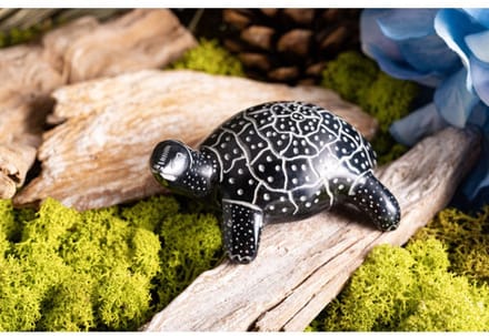 Schildpad speksteen