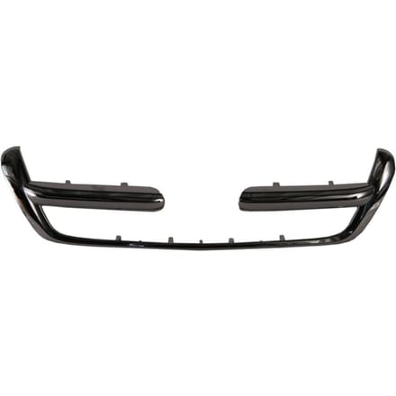 Sierlijst/beschermstrip, radiatorrooster BLIC 6502-07-2956991P