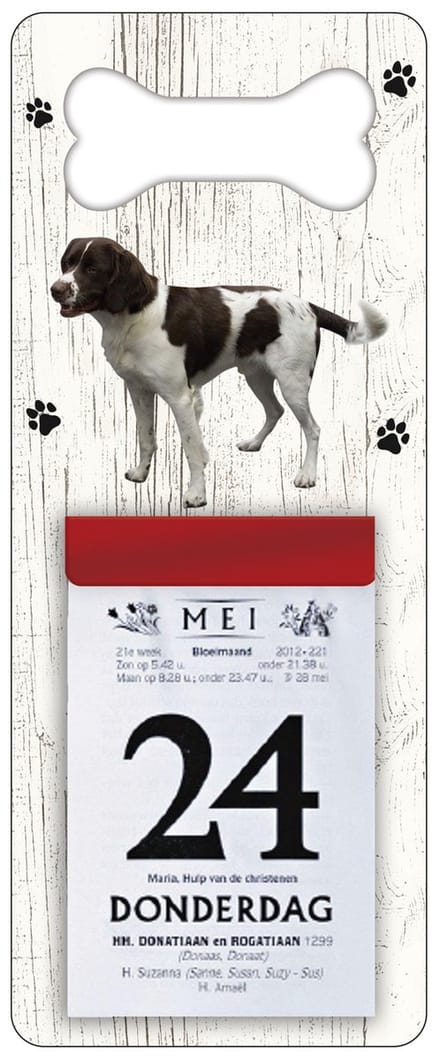 Scheurkalender 2027 Hond: Drentsche Patrijshond
