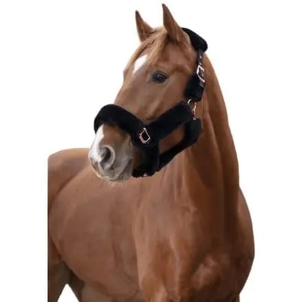 Halster voor paarden Equithème Teddy Rose gold