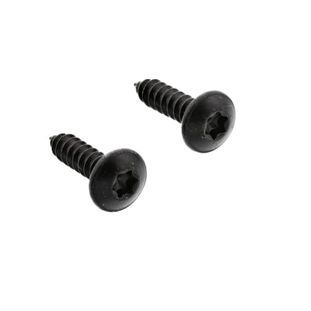 AEG kit, montageset, AFL 4.2x16 T - 2 pcs 4055236956
