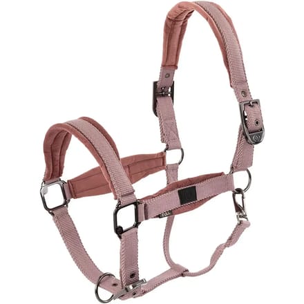 Nylon halster BR Equitation Julia
