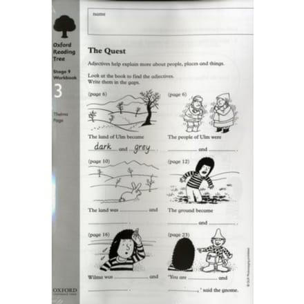 Oxford Reading Tree: Level 9: Workbooks: Workbook 3: The Quest And Survival Adventure (Pack Of 6) - Thelma Page