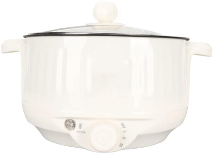 Elektrische Kookpot - Hete Pan - Snel Koken - Draagbaar Ontwerp - 2 Liter - RVS