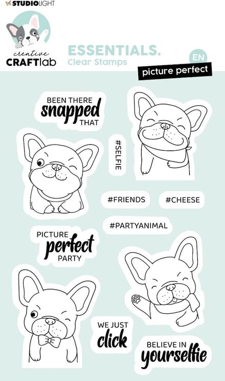 Clear stamps Picture perfect Buddy - Essentials nr. 221