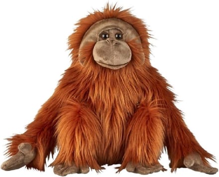 Pluche Orang Oetan knuffel - 50 cm - aap/apen - knuffeldier - jungle dieren