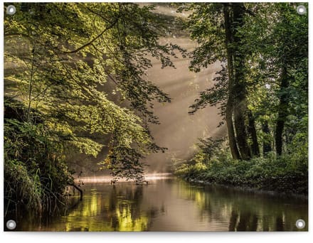 Tuinposter Beek in het bos - 60 x 80 - Canvas - REINDERS
