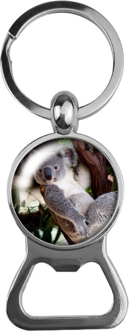 Bieropener Glas - Koala