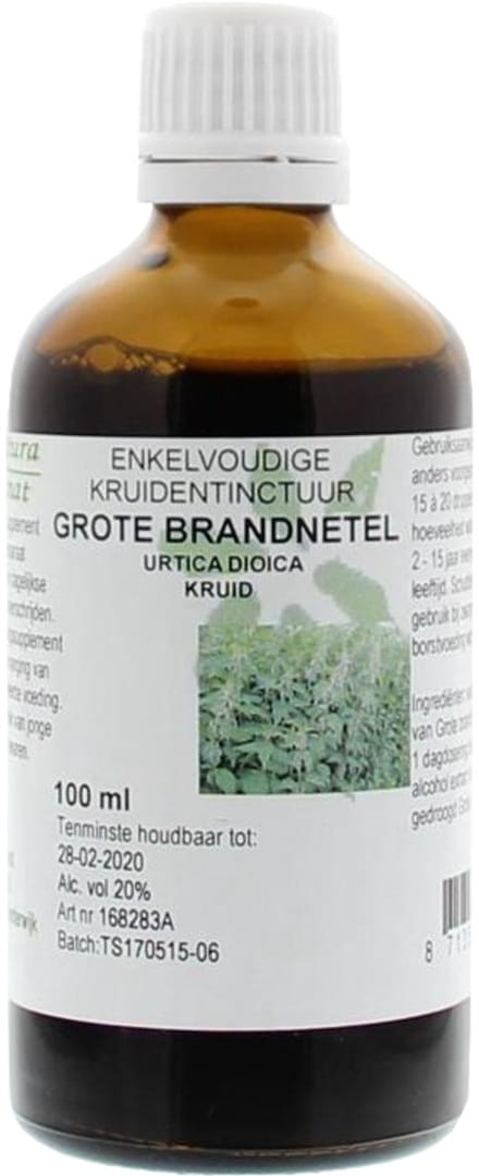 Urtica Dioica/Grote Brandnetel