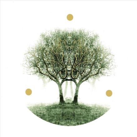 Lili Refrain - Ulu (LP) (Picture Disc)