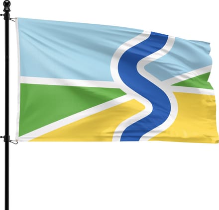 VlagDirect - Sallandse vlag - Regio Salland vlag - 90 x 150 cm.