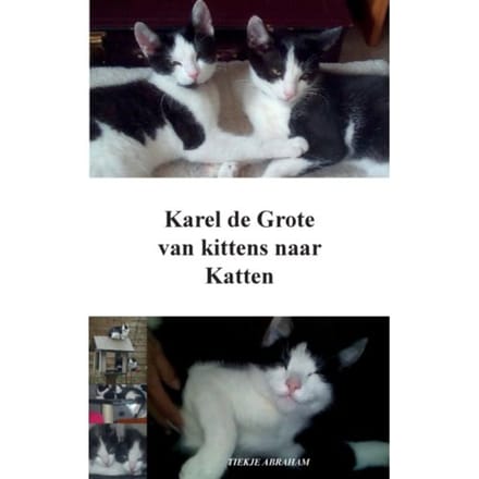 Karel De Grote - Tiekje Abraham