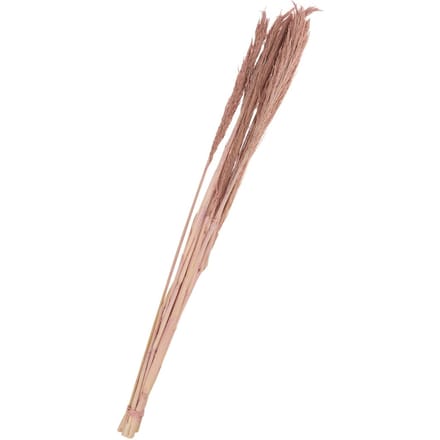 Droogbloemen "Sanmuga Grass", L ca. 80 cm - Oud Roze