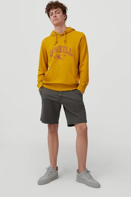 O'Neill Shorts men