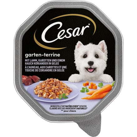 Megapack Cesar kuipjes 28 x 150 g - Lam, wortelen en koriander in gelei
