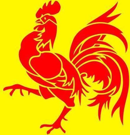 Belgoshop Vlag Wallonie