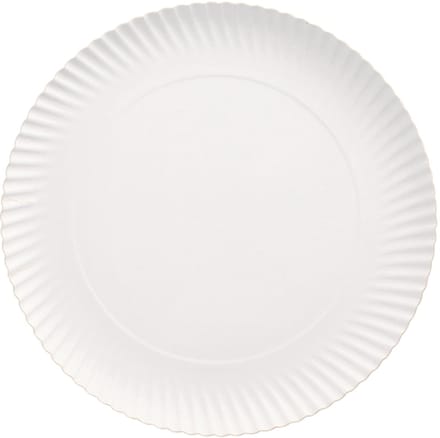 100 Borden, karton pure rond Ø 29 cm · 2 cm wit