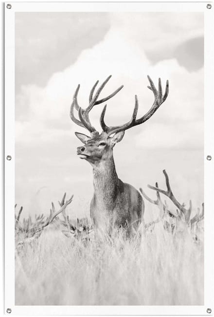 Tuinposter Trots hert - 120 x 80 - Canvas - REINDERS