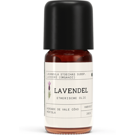 Natural Heroes Lavendel EO - Lavandula stoechas subsp. Luisieri - 5 ml