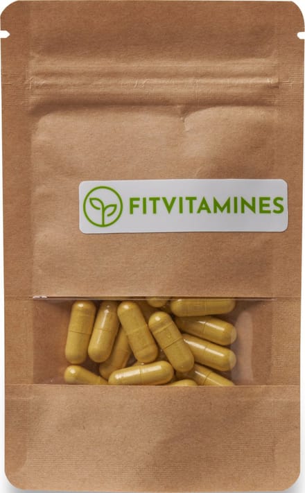 Fisetine (100 mg) & Quercetine (100 mg), antioxidanten voedingssupplement | antiveroudering | longevity | flavonoïden