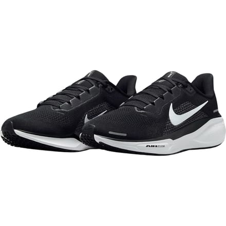 NIKE nike pegasus 41 women's road runnin fd2723-002