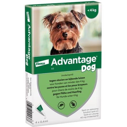 Advantage® 40 voor Honden tot 4 kg - Dubbelpak 2 x 4 Pipetten - BE