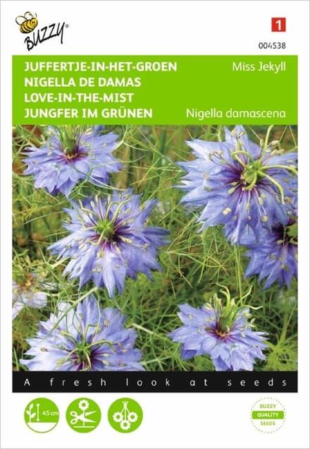 Juffertje in het groen Miss Jekyll (Nigella damascena)
