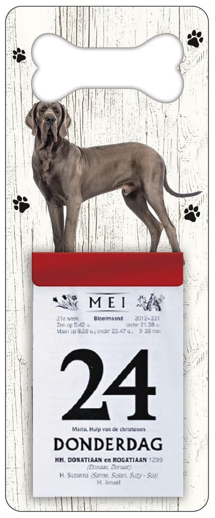 Scheurkalender 2027 Hond: Deense Dog