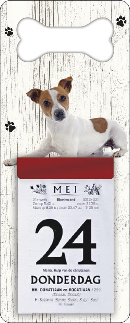 Scheurkalender 2027 Hond: Jack Russel