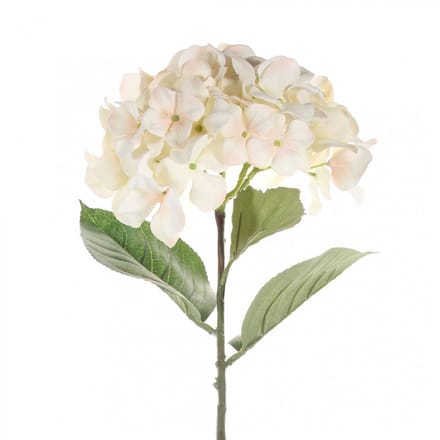 Single hydrangea 68 cm cream