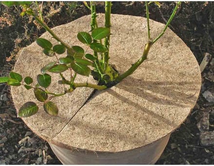 Kokos-mulchschijf Ø 45 cm - Natuurlijke Tuinbedekking