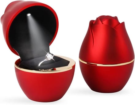 LED Ringen Dozen in Roze Vorm - Sieraden Opslag met Verlichting voor Oorbellen en Ringen
