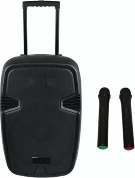 Mobiele Geluidsset 800W PRO (2x handmicrofoon)