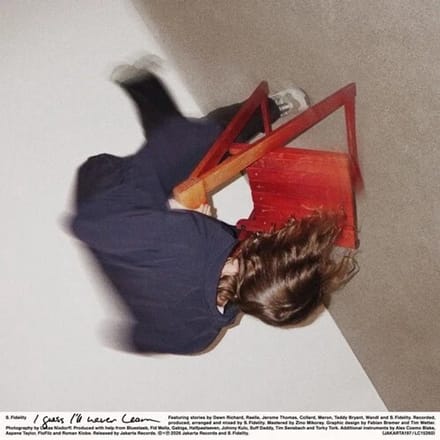 S. Fidelity - I Guess I'll Never Learn (LP)