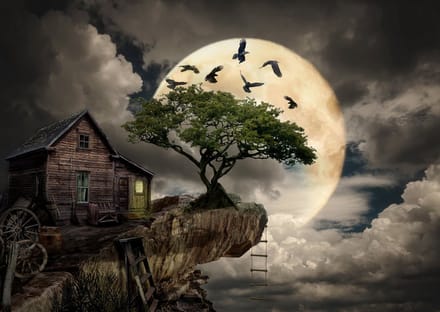 Enjoy Puzzle legpuzzel A Log Cabin on a Cliff - 1000 stukjes volwassenen.