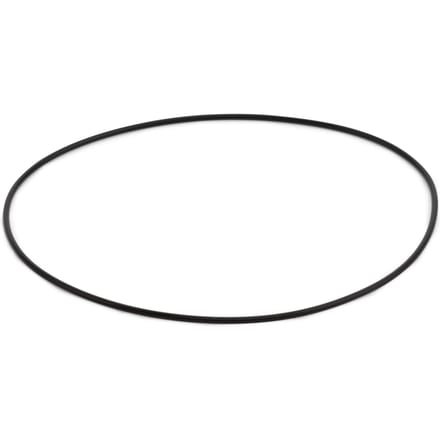 O-ring