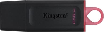 Kingston Technology DataTraveler Exodia USB flash drive 256 GB USB Type-A 3.2 Gen 1 (3.1 Gen 1) Zwart