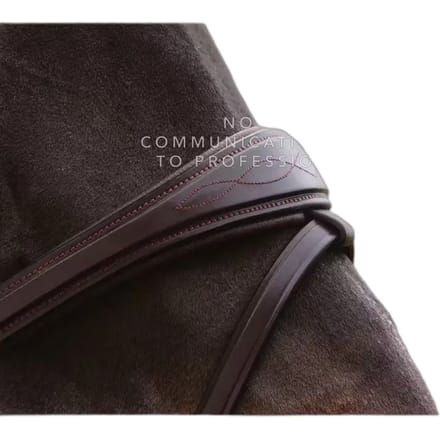 Anatomische gecombineerde bit voor paard met kettingen Dy'on
