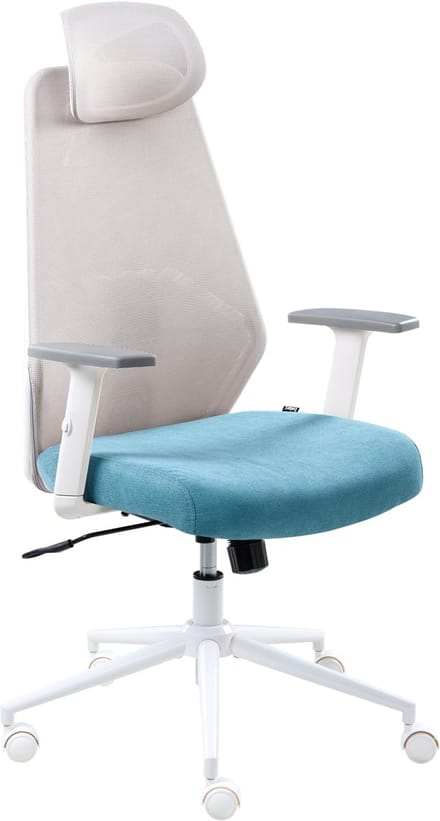 ORYN - Bureaustoel - Grijs/Groenblauw - Mesh