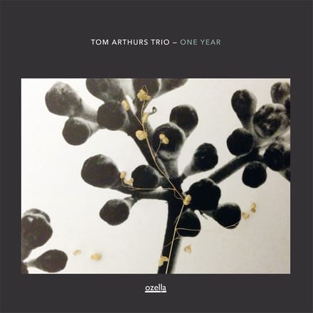 Tom Arthurs Trio - One Year (CD)