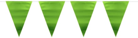 Folat - Groene Metallic Mat Vlaggenlijn - 6 meter